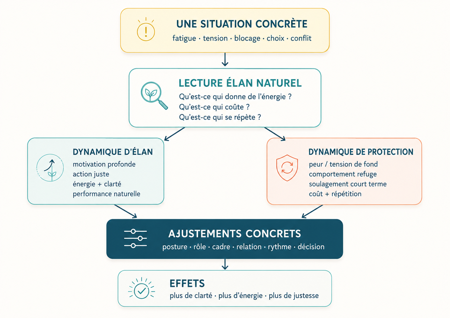 Schéma d’Élan Naturel : situation concrète, lecture de l’élan, dynamique de protection, ajustements concrets et effets